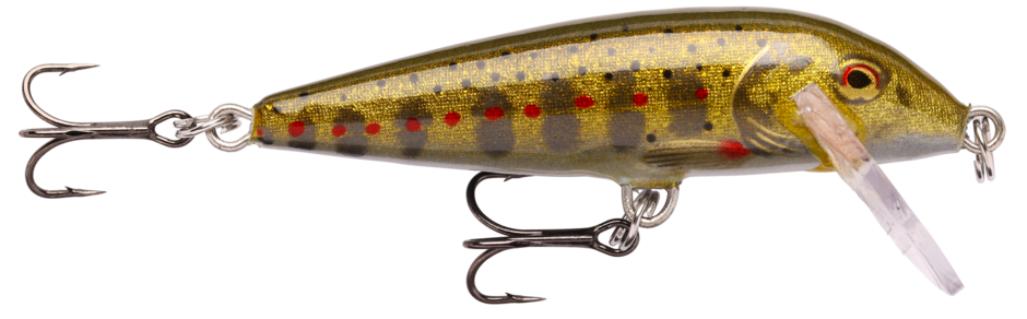 Gold Juvenile Trout (GJTR): gold body carrying grey parr marks, red spots and a red eye