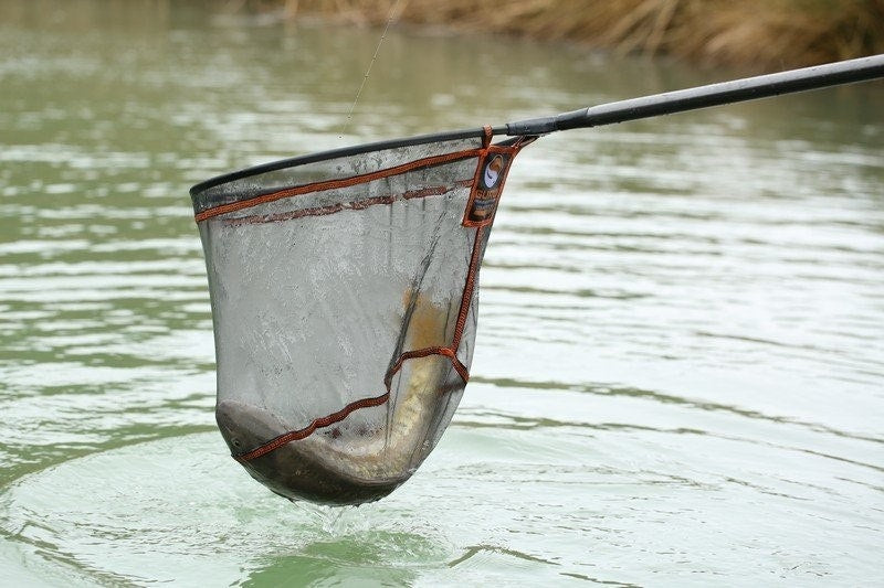 Guru Competition Net 500