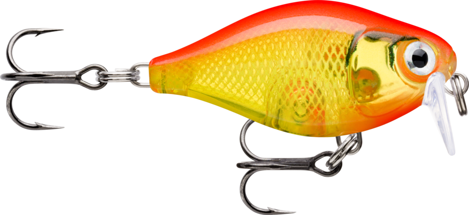 Gold Fluorescent Red (GFR): fluorescent red-orange back over a translucent gold scaled body