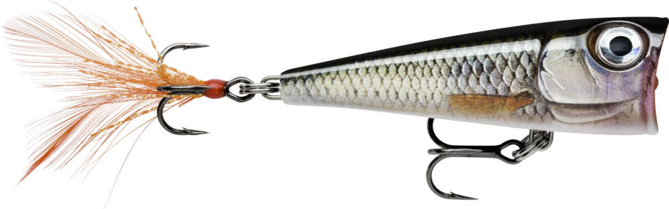 Live Roach (ROL): cupped-face popper in silver roach scaling with a bronze flank and an orange feathered tail treble
