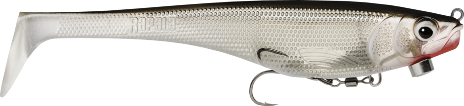 Silver (S): pearl-silver scaled body with a black back, a red gill flash and a white paddle tail