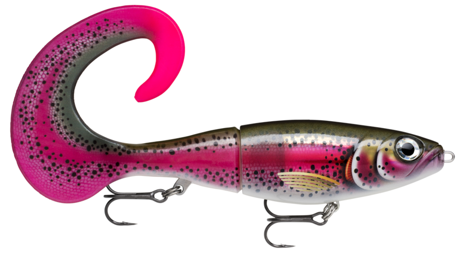 Live Rainbow Trout (RTL): spotted olive back and magenta band, with a black-speckled hot pink curl tail