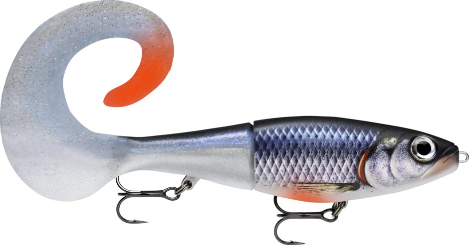 Spawning Roach (SPWR): silver-violet scaling with red fins and a pearl-white glitter curl tail tipped orange