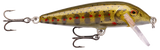 Gold Juvenile Trout (GJTR): gold body carrying grey parr marks, red spots and a red eye