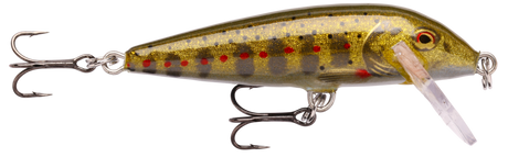 Gold Juvenile Trout (GJTR): gold body carrying grey parr marks, red spots and a red eye