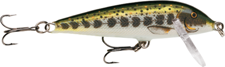Muddler (MD): olive-green back with dark chevron barring over a silver-gold flank and a white belly