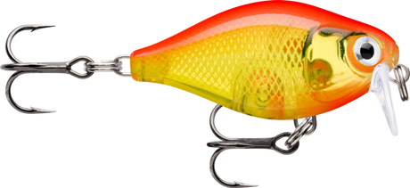 Gold Fluorescent Red (GFR): fluorescent red-orange back over a translucent gold scaled body