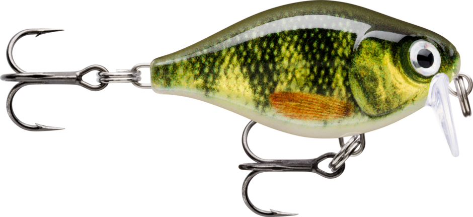 Live Perch (PEL): dark perch bars over a yellow-green scaled flank with an orange pectoral fin