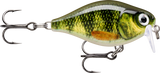 Live Perch (PEL): dark perch bars over a yellow-green scaled flank with an orange pectoral fin