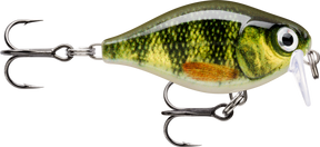 Live Perch (PEL): dark perch bars over a yellow-green scaled flank with an orange pectoral fin