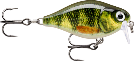 Live Perch (PEL): dark perch bars over a yellow-green scaled flank with an orange pectoral fin