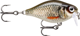 Live Roach (ROL): silver-olive roach scaling with an orange lateral flash and a red eye