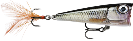 Live Roach (ROL): cupped-face popper in silver roach scaling with a bronze flank and an orange feathered tail treble