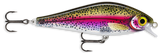 Live Rainbow Trout (RTL): translucent body with a black-spotted olive back and a magenta lateral band