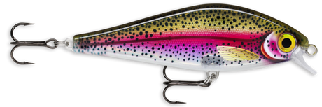 Live Rainbow Trout (RTL): translucent body with a black-spotted olive back and a magenta lateral band