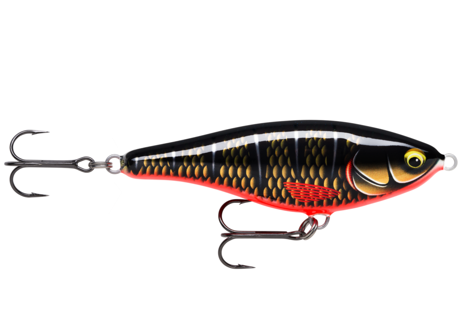 Dark Draugr (DDG): black body with gold scale print, white lateral flecks and a red belly