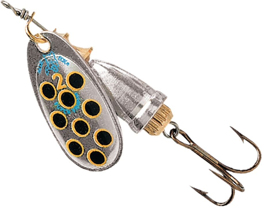 Silver Yellow Black (SYB) colour: silver blade with black spots ringed in yellow