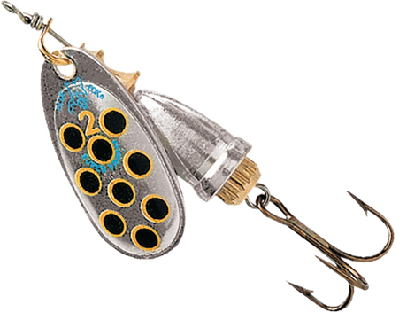 Silver Yellow Black (SYB) colour: silver blade with black spots ringed in yellow