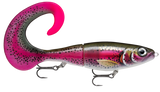 Live Rainbow Trout (RTL): spotted olive back and magenta band, with a black-speckled hot pink curl tail