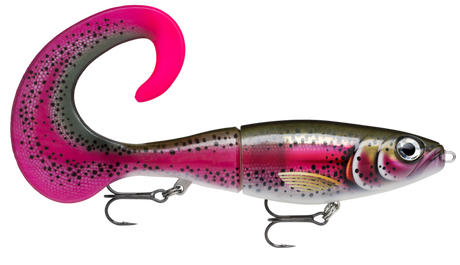 Live Rainbow Trout (RTL): spotted olive back and magenta band, with a black-speckled hot pink curl tail