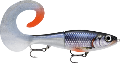Spawning Roach (SPWR): silver-violet scaling with red fins and a pearl-white glitter curl tail tipped orange